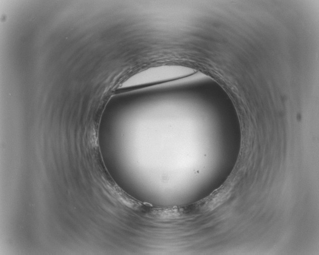 X0000060800384200511141446