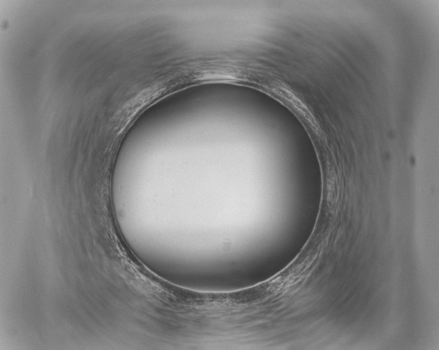 X0000060800385200511141445