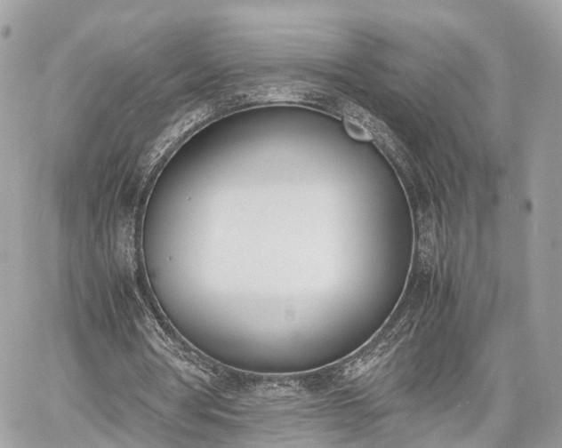 X0000060800386200511141445