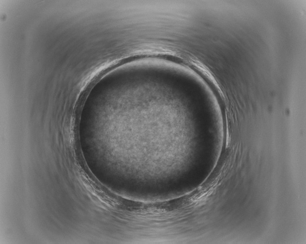 X0000060800387200511141445