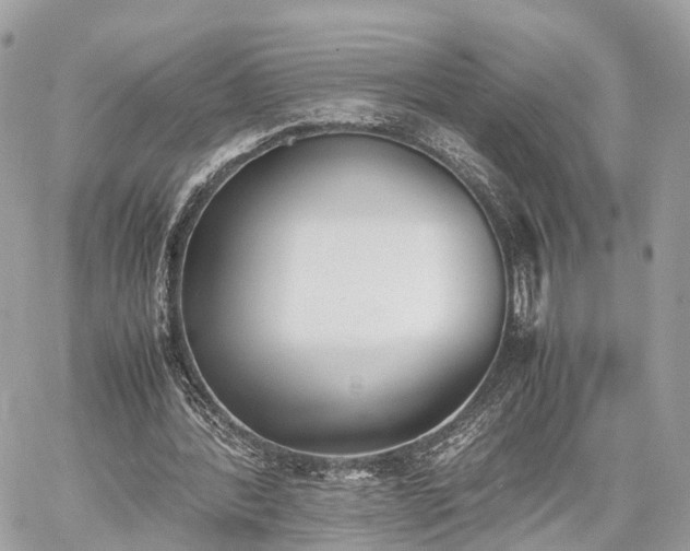 X0000060800388200511141445