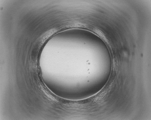 X0000060800389200511141445