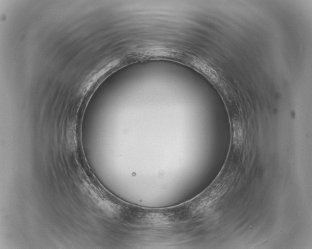 X0000060800390200511141445