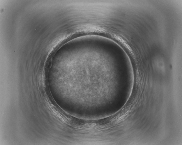 X0000060800391200511141445