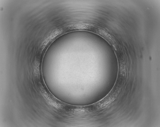 X0000060800394200511141445