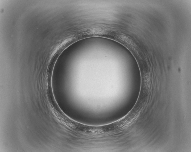 X0000060800395200511141445