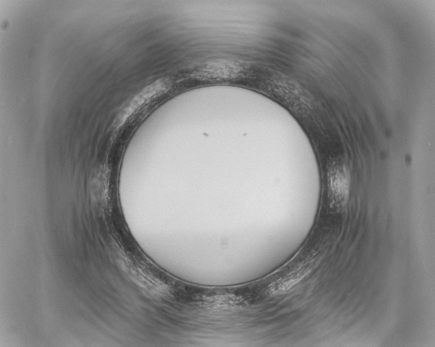 X0000060800396200511141445