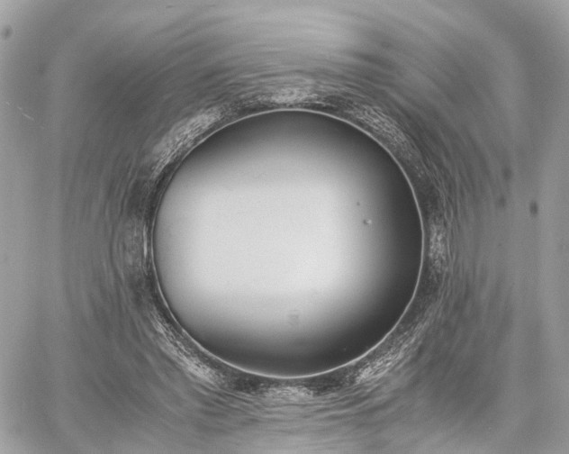 X0000060800397200511141445