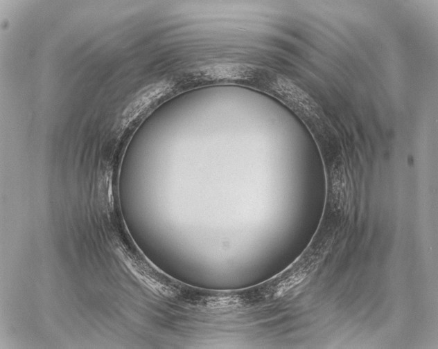 X0000060800398200511141445