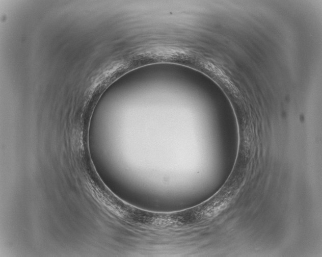 X0000060800399200511141445