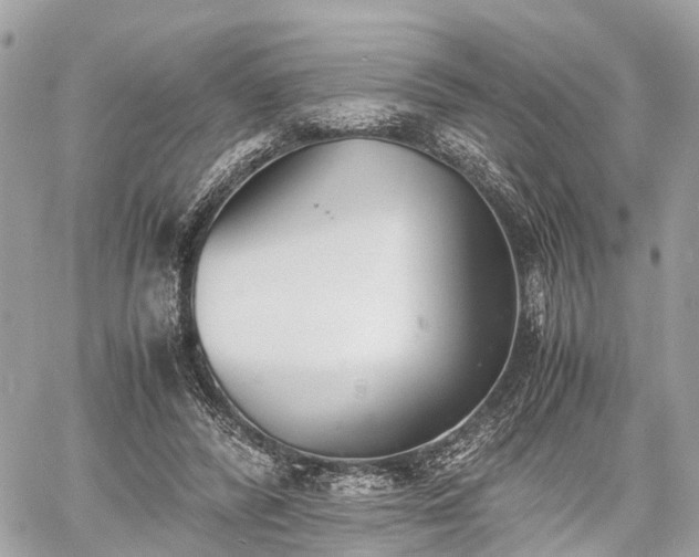 X0000060800400200511141445