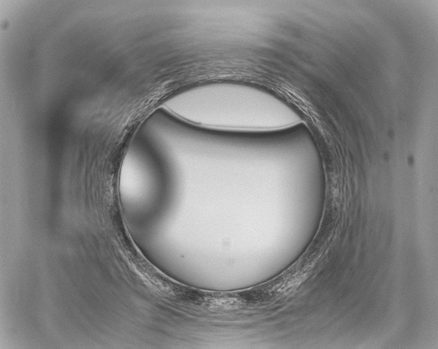 X0000060800401200511141445