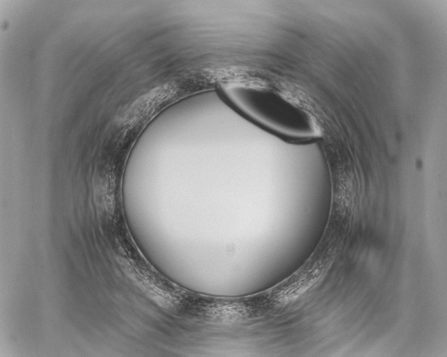 X0000060800402200511141445