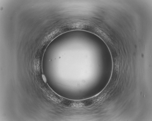 X0000060800403200511141445