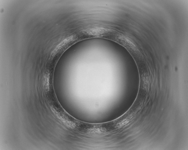 X0000060800404200511141445