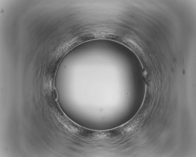 X0000060800405200511141445