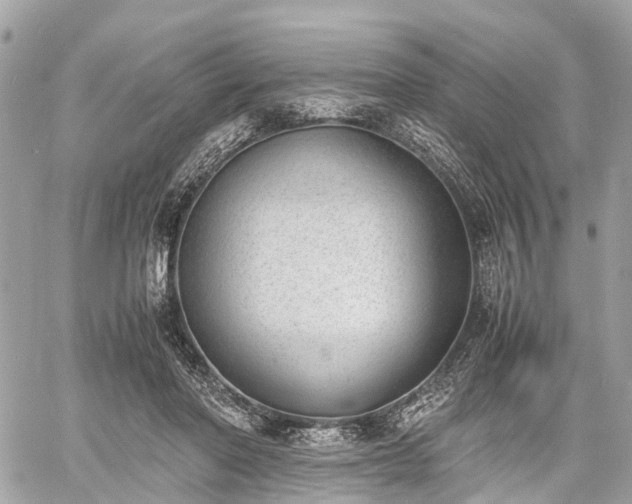 X0000060800406200511141445