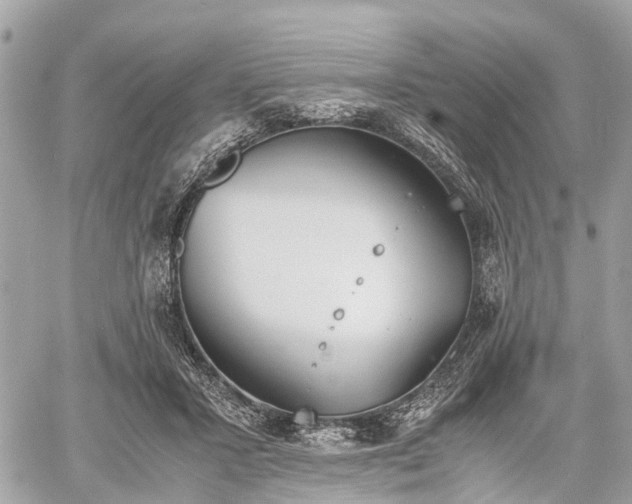 X0000060800407200511141445