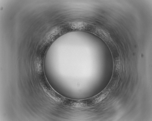 X0000060800408200511141445