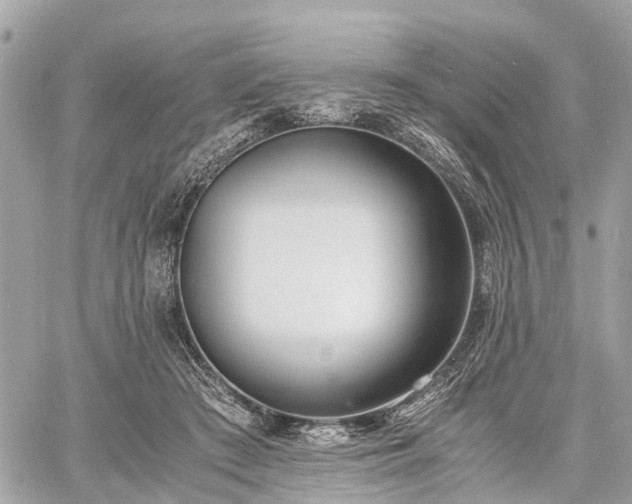 X0000060800409200511141445