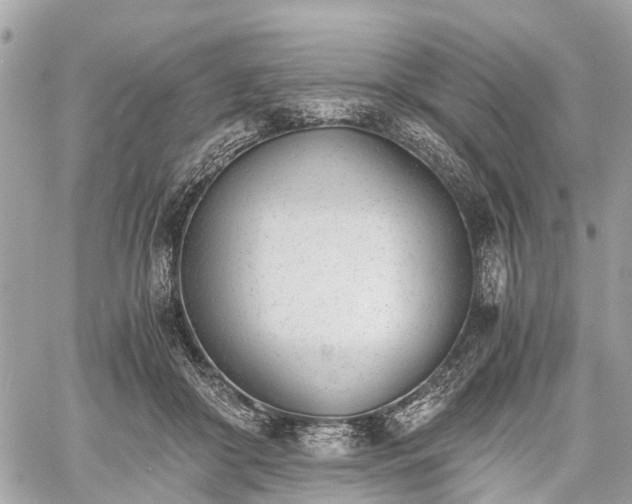 X0000060800410200511141445