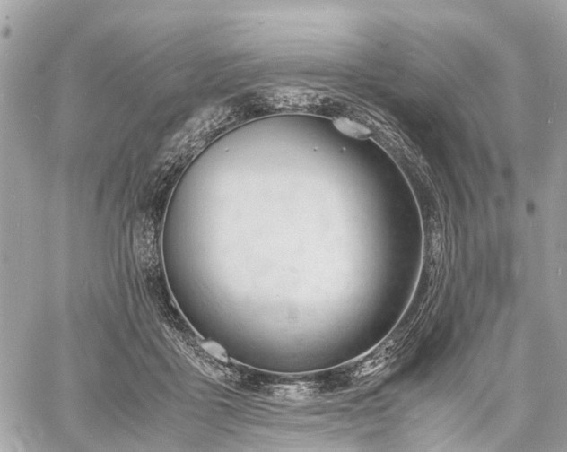 X0000060800411200511141445