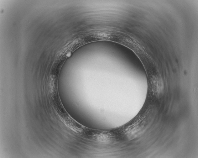 X0000060800412200511141445