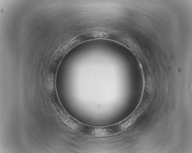 X0000060800413200511141445