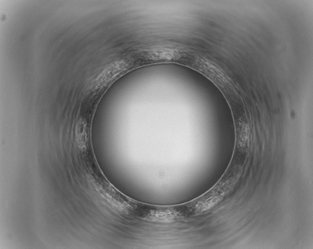 X0000060800414200511141445