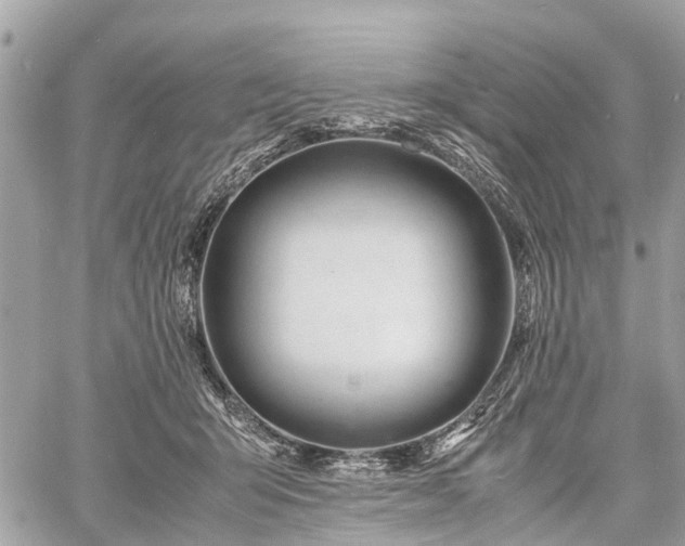 X0000060800415200511141445