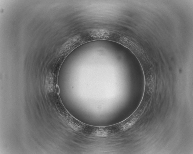 X0000060800416200511141445