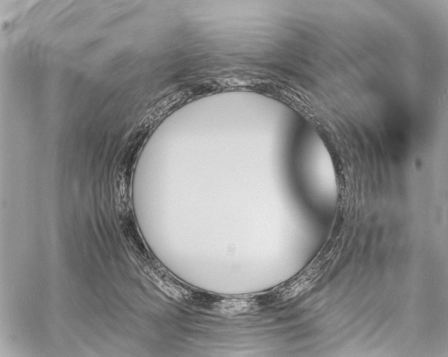 X0000060800418200511141445