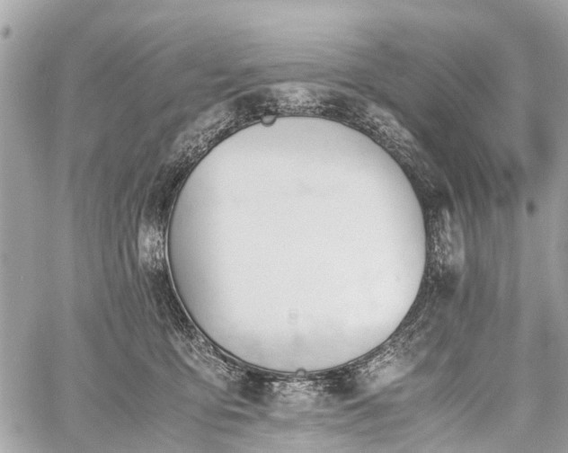 X0000060800419200511141445