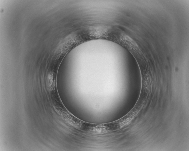 X0000060800420200511141445