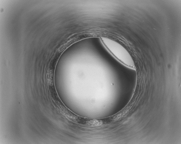 X0000060800421200511141445