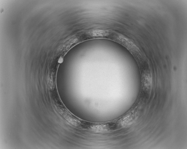 X0000060800422200511141445