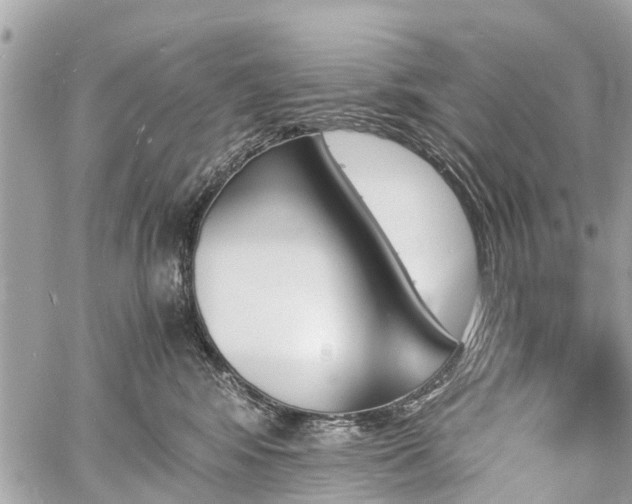 X0000060800424200511141445