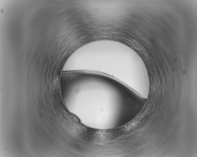 X0000060800425200511141445