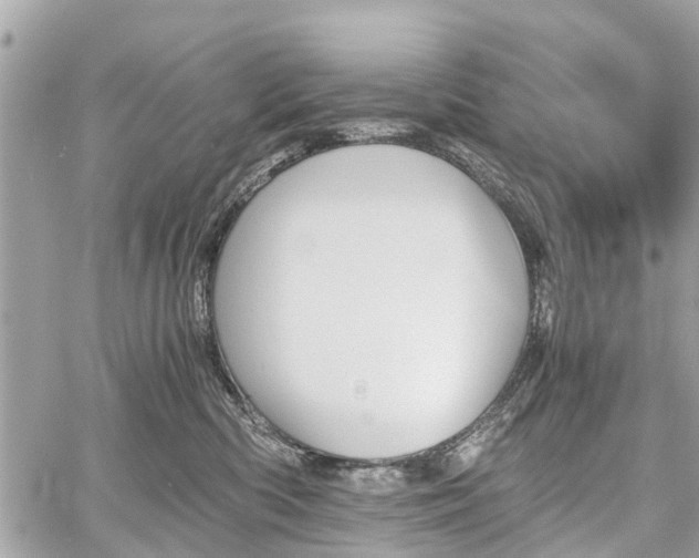 X0000060800426200511141445