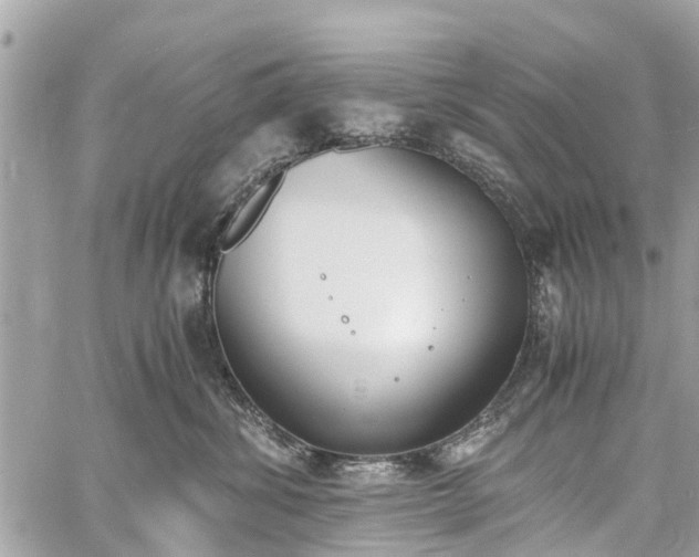 X0000060800428200511141445