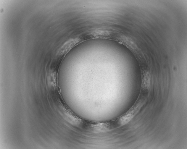 X0000060800430200511141445