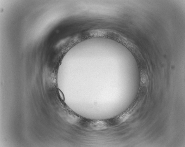 X0000060800431200511141445