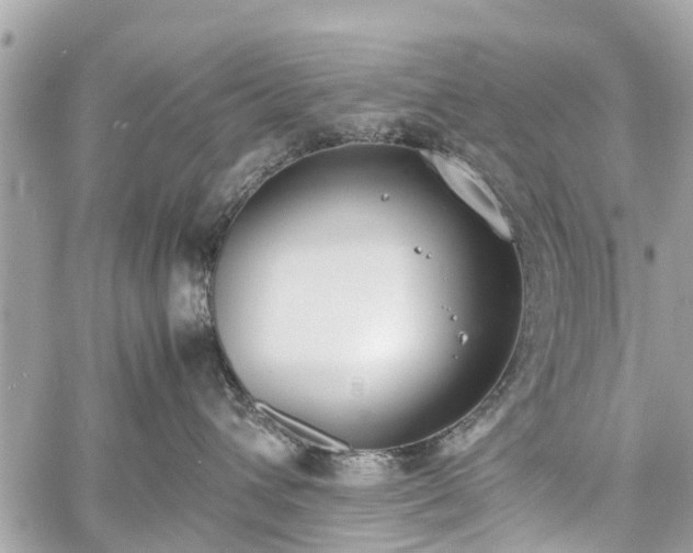 X0000060800432200511141445