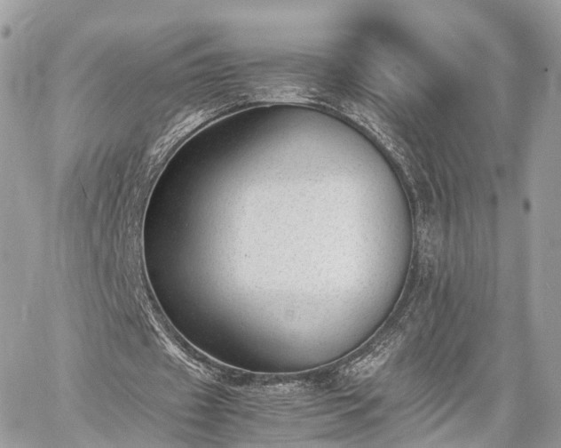 X0000060800433200511141444