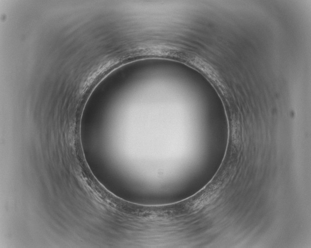 X0000060800434200511141444