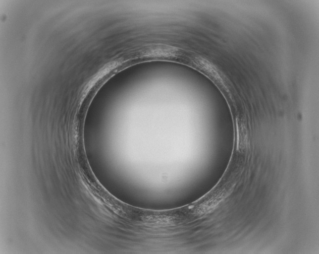 X0000060800435200511141444