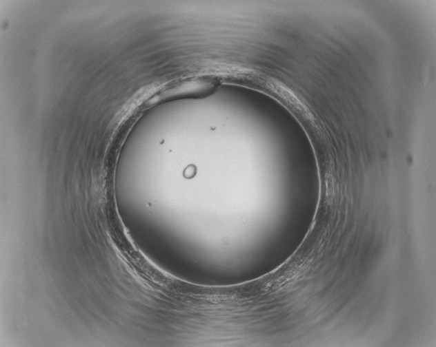 X0000060800436200511141444