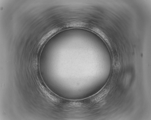 X0000060800437200511141444