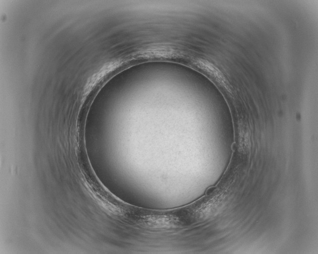 X0000060800439200511141444