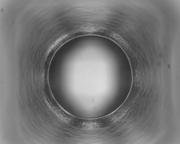 X0000060800440200511141444